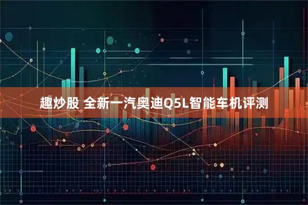 趣炒股 全新一汽奥迪Q5L智能车机评测