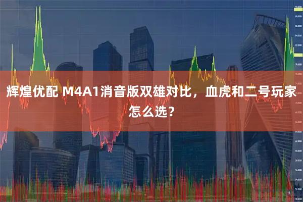 辉煌优配 M4A1消音版双雄对比，血虎和二号玩家怎么选？