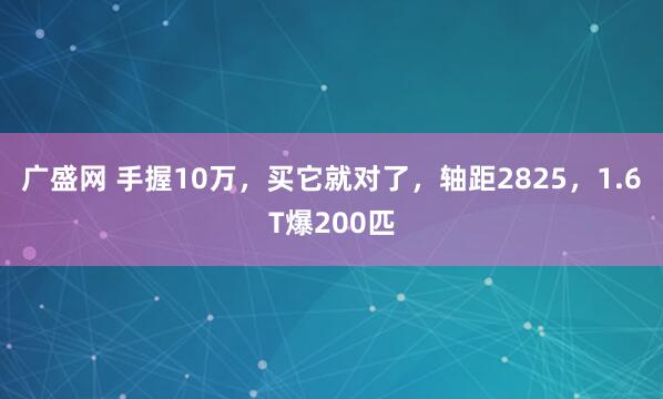 广盛网 手握10万，买它就对了，轴距2825，1.6T爆200匹