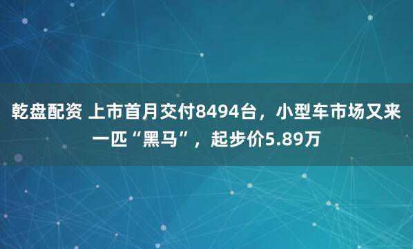 乾盘配资 上市首月交付8494台，小型车市场又来一匹“黑马”，起步价5.89万